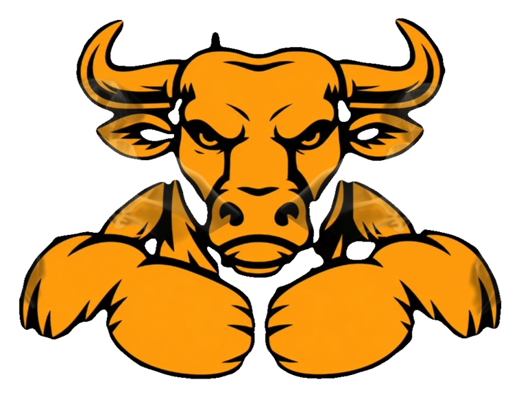 BEEF'D bull