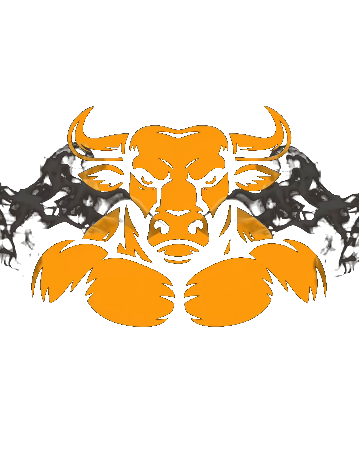 BEEF'D bull